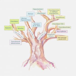 Stammbaum OFM 003